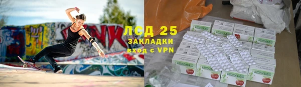 дживик Майский