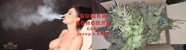 амф Магас