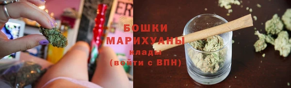 дживик Майский
