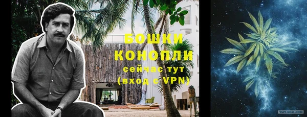 дживик Майский
