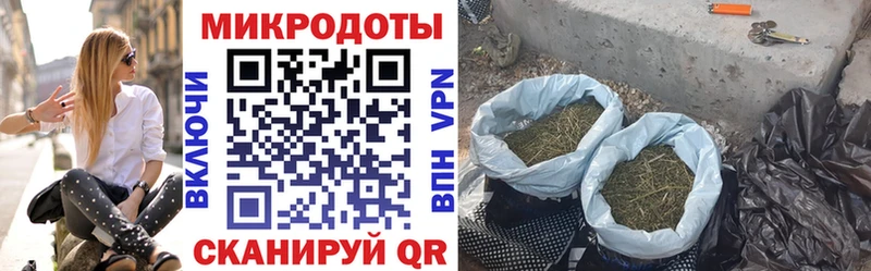 Галлюциногенные грибы мицелий  Тотьма 