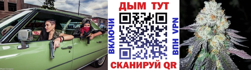 Конопля гибрид  Тотьма 